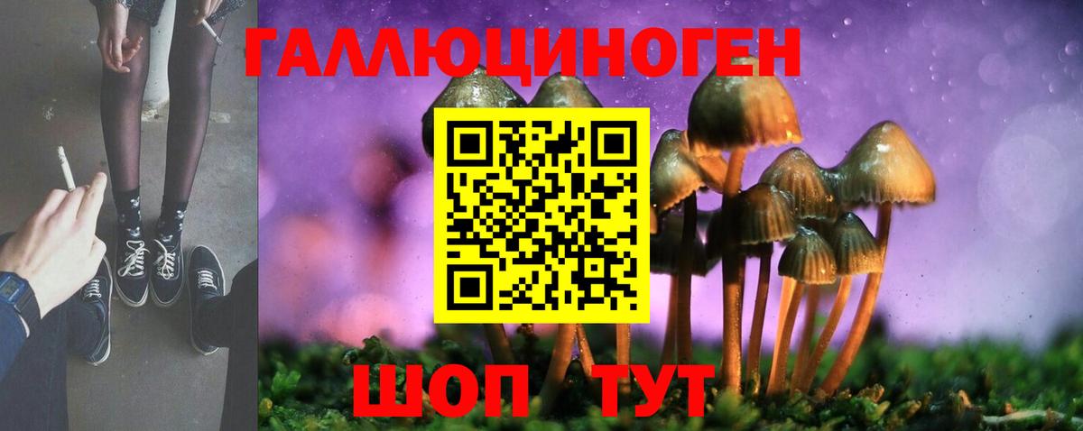 Электрогорск  Галлюциногенные грибы Psilocybe  Вход с VPN 