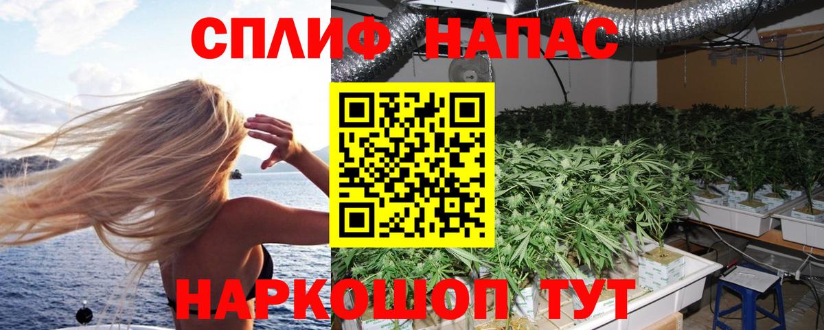 Марихуана индика  Марихуана конопля  Электрогорск  Шишки марихуана конопля  Вход с VPN 